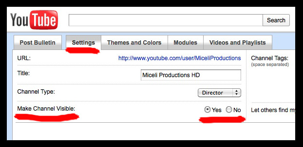 When To Set Your YouTube Channel to Private | Miceli Productions