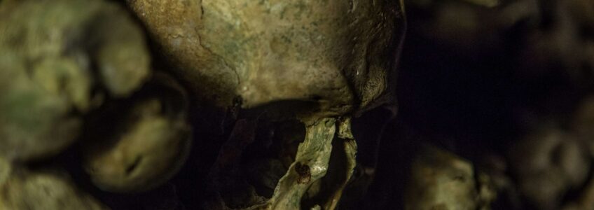 A close up image of a skull in The Catacombs of Paris.