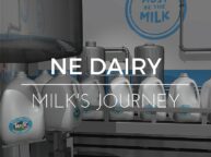 Animated video produced by Miceli Productions, Hartford CT for New England Dairy Council.