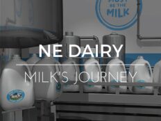 Animated video produced by Miceli Productions, Hartford CT for New England Dairy Council.