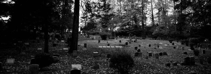 cemetery, grave, sleepy hollow, black and white, dead, graveyard, zombie