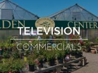 Miceli Productions produces TV commercials for businesses in the Hartford and New Haven areas.